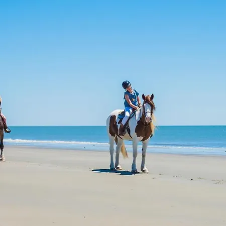 Domek alpejski Inishowen Ocean-view Drumaville