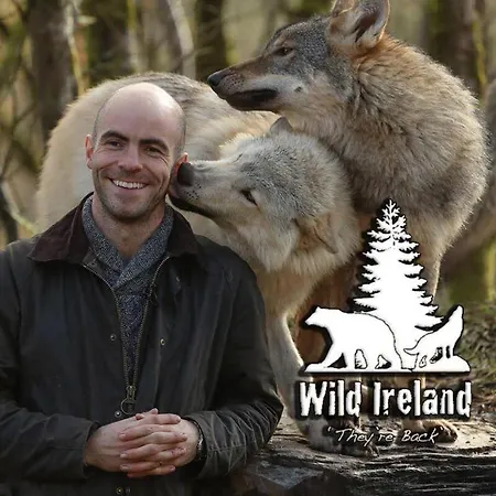 Inishowen Ocean-view Domek alpejski