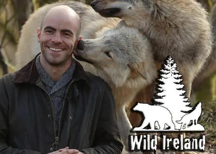 Inishowen Ocean-view 木屋